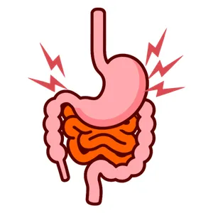 Inicio Cirugía General en Playa del Carmen