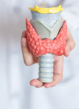 Cirugía de Tiroides en Playa del Carmen