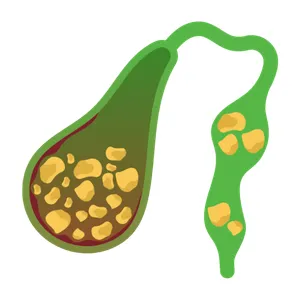 Inicio Cirugía General en Playa del Carmen